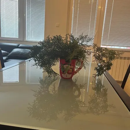 Apartment The Choice In