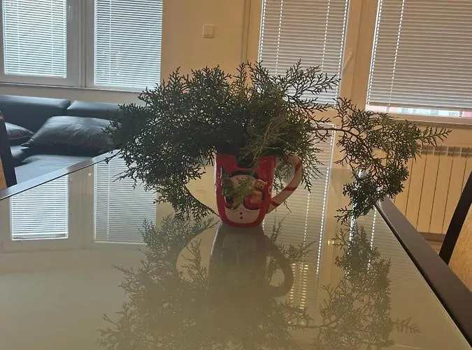 アパート The Choice In