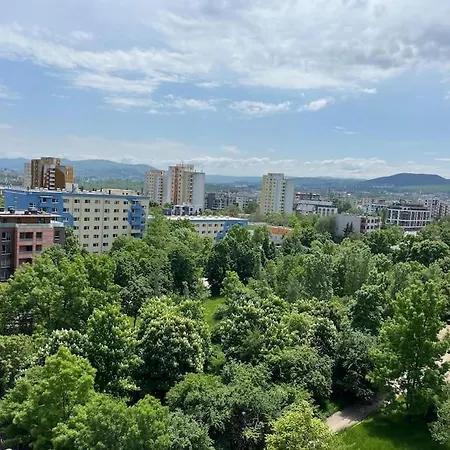 The Choice In Apartmán *